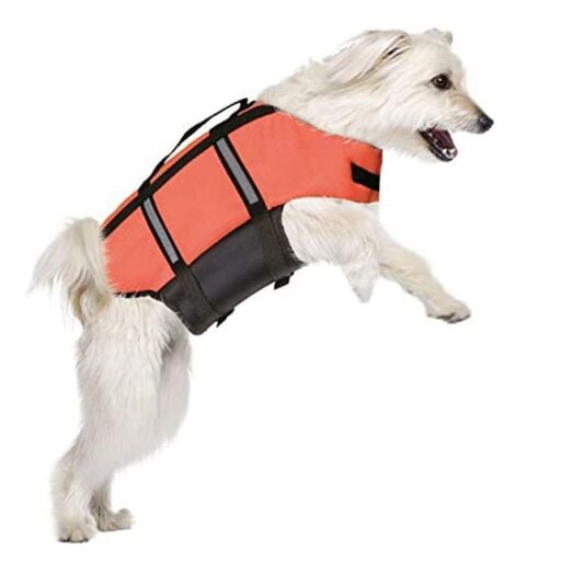 Köpek - Kedi Can Yeleği