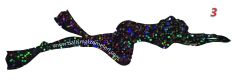 Balıkadam sticker 14 cm 2 numara