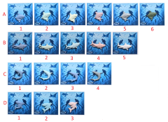 Deniz Canlıları Rozet-3