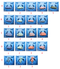 Deniz Canlıları Rozet-2