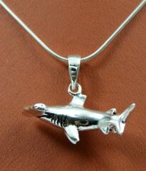 ÇEKİÇ KÖPEK BALIĞI - KIVRIK