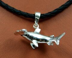 ÇEKİÇ KÖPEK BALIĞI - KIVRIK