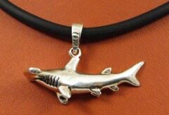 ÇEKİÇ KÖPEKBALIĞI