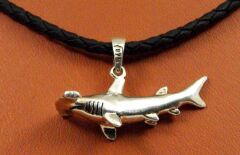 ÇEKİÇ KÖPEKBALIĞI